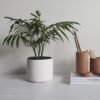 MOOA lifestyle image thumbnail 9